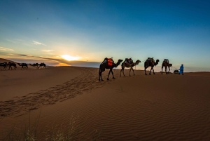Marraquexe: Viagem de 7 dias a Tânger via Chefchaouen e deserto