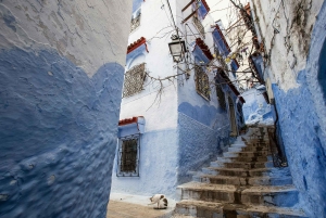 Marraquexe: Viagem de 7 dias a Tânger via Chefchaouen e deserto