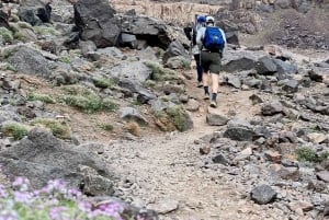 Marrakech: 8-dagars vandring i berberbyar och dalar