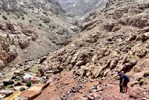 Marrakech: 8-dagars vandring i berberbyar och dalar