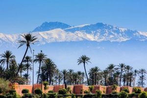 Marrakech: 9-Day Imperial Cities and Sahara Discovery Trip