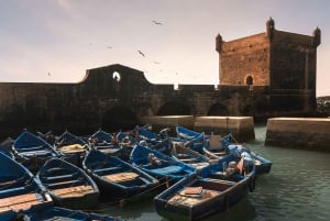 From Marrakesh: Essaouira day tour with Optional Activities
