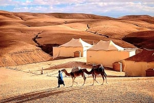 Marrakesch-Abenteuer: Agafay-Wüste mit Quad, Kamel, Mittagessen