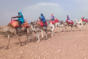 Marrakesch-Abenteuer: Agafay-Wüste mit Quad, Kamel, Mittagessen