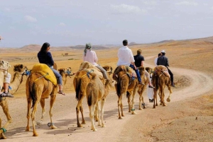 Marrakech-eventyr: Paragliding, kamelridning og frokost