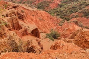 Aventure à Marrakech : tyrolienne et randonnée dans l'Atlas