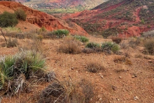 Aventure à Marrakech : tyrolienne et randonnée dans l'Atlas