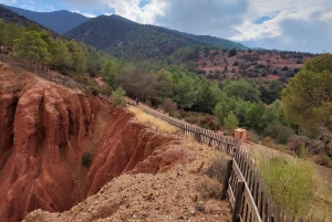 Aventure à Marrakech : tyrolienne et randonnée dans l'Atlas