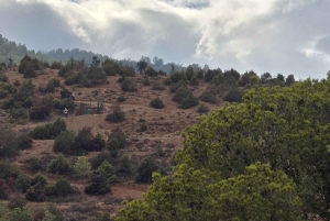 Aventure à Marrakech : tyrolienne et randonnée dans l'Atlas