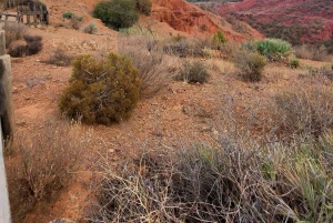 Aventure à Marrakech : tyrolienne et randonnée dans l'Atlas