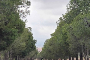 Aventure à Marrakech : tyrolienne et randonnée dans l'Atlas