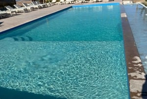 Marrakech: Agafay Buffet Dinner Show with Quad, Camel & Pool