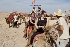 Marrakech: Agafay Buffet Dinner Show with Quad, Camel & Pool