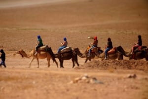 Marrakech : balade à dos de chameau dans le désert d'Agafay, dîner-spectacle et accès à la piscine