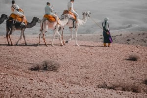 Marrakech: Giro in cammello e cena con spettacolo di fuoco ad Agafay
