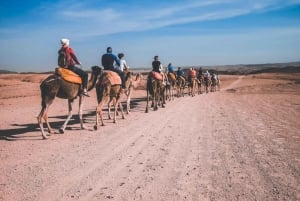 Marrakech: Giro in cammello e cena con spettacolo di fuoco ad Agafay