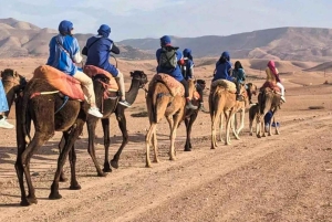 Marrakech : Balade en chameau et en quad dans le désert d'Agafay, avec dîner-spectacle.