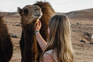 Marrakech : Balade en chameau et en quad dans le désert d'Agafay, avec dîner-spectacle.