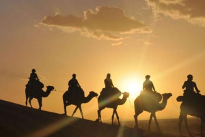 Marrakech : Balade en chameau et en quad dans le désert d'Agafay, avec dîner-spectacle.