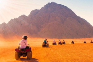 Marrakech : Balade en chameau et en quad dans le désert d'Agafay, avec dîner-spectacle.