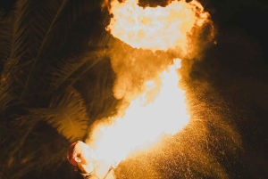 Marrakech : Balade en chameau et en quad dans le désert d'Agafay, avec dîner-spectacle.