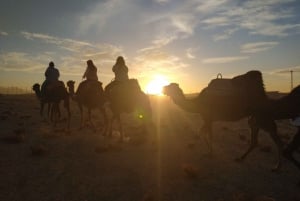 Marrakech: Wüste von Agafay, Kamelritt und Berber-Dinner
