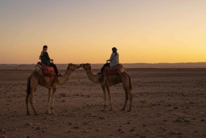 Marrakech: Camel Ride, Dinner, Pool, and Fire Show in Agafay