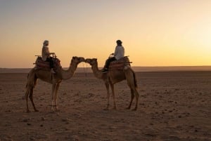 Marrakech: Camel Ride, Dinner, Pool, and Fire Show in Agafay