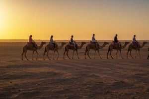 Marrakech: Camel Ride, Dinner, Pool, and Fire Show in Agafay