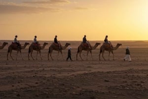Marrakech: Camel Ride, Dinner, Pool, and Fire Show in Agafay