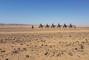 Marrakech: Camel Ride, Dinner, Pool, and Fire Show in Agafay