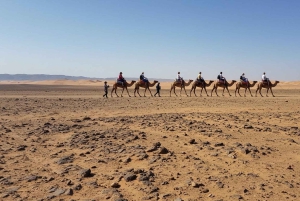 Marrakech: Camel Ride, Dinner, Pool, and Fire Show in Agafay