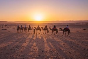 Marrakech: Camel Ride, Dinner, Pool, and Fire Show in Agafay