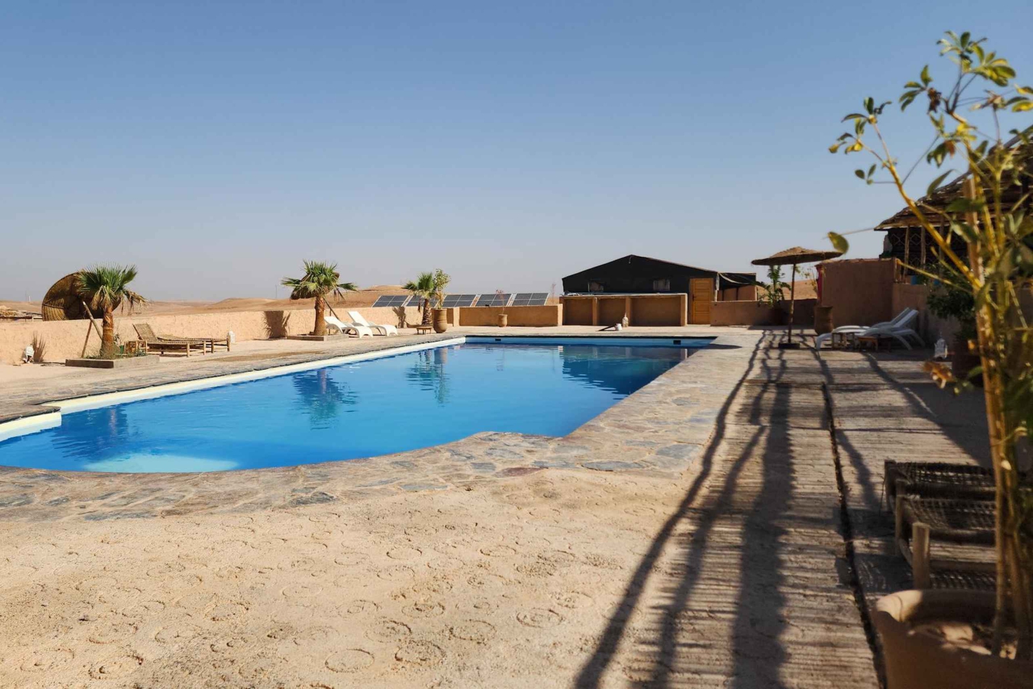 Marrakech: Agafay Desert Camel Ride, Dinner, Pool & Quad