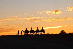 Marrakech: Agafay Desert Camel Ride, Dinner, Pool & Quad