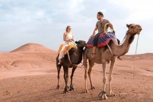 Marrakech: Camel, Dinner Show, & Optional Quad Desert Trip