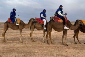 Marrakech: Agafay Desert Camel Ride, Sunset and Dinner Show