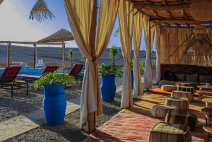 Marrakech: Agafay Desert Camel Ride, Sunset and Dinner Show