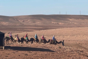 Marrakech: Agafay Desert Camel Ride, Sunset and Dinner Show