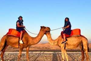 Marrakech: Agafay Desert Camel Ride, Sunset and Dinner Show