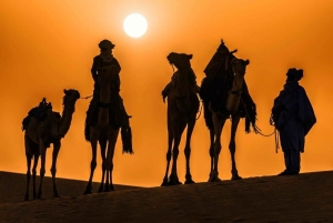 Marrakech: Agafay Desert Camel Ride, Sunset and Dinner Show