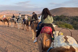 Marrakech: Agafay Desert Camel Ride, Sunset and Dinner Show