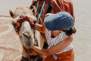 Marrakech: Agafay Desert Camel Ride, Sunset, and Dinner