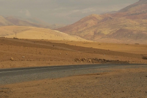 Marrakech: Agafay Desert Camel Ride, Sunset, and Dinner