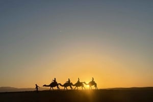 Marrakech: Agafay ørkenmiddag, kamelridning og show
