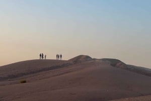 Marrakech: Agafay ørkenmiddag, kamelridning og show
