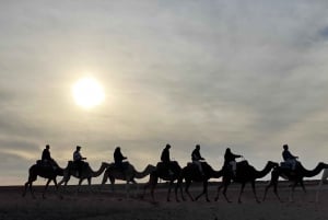 Marrakech: Agafay ørkenmiddag, kamelridning og show