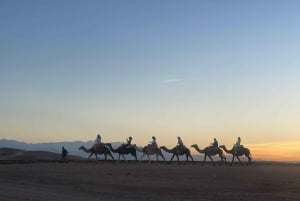 Marrakech: Agafay ørkenmiddag, kamelridning og show