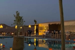 Marrakech: Kamelritt in der Wüste von Agafay mit Abendessen und Sonnenuntergang