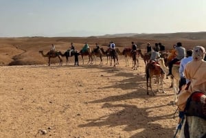 Marrakech: Giro in cammello nel deserto di Agafay con cena e tramonto